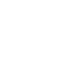 Goose logo